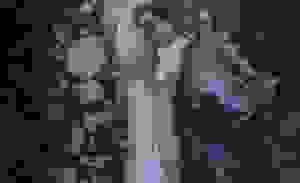 Placeholder for Pamilpsest 13 Orgineel CG